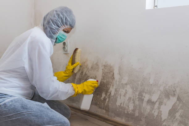 Best Mold Testing  in Leith Hatfield, PA