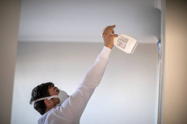 Best Emergency Mold Removal  in Leith Hatfield, PA
