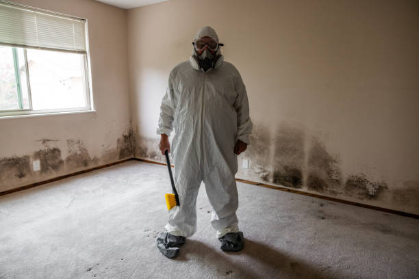 Best Home Mold Removal  in Leith Hatfield, PA